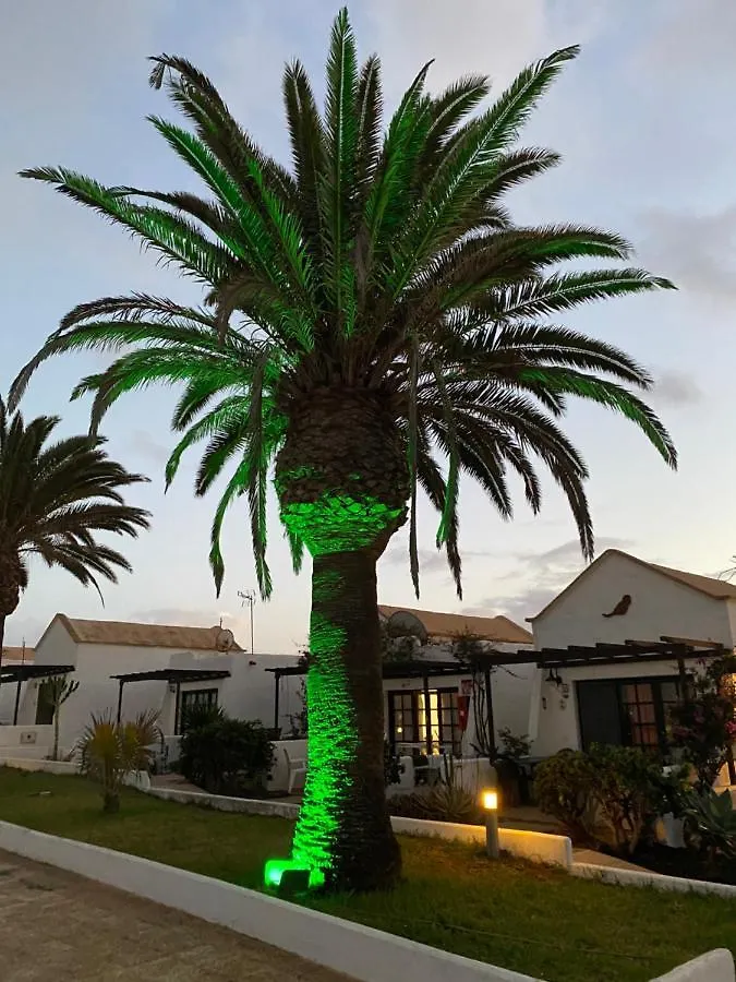 Apartment Estrella Del Mar 8. 1 Bedroom Villa With Pool And Gardens 300 Metres From The Beach Corralejo